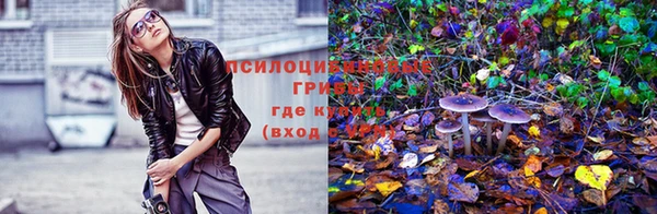 mdpv Надым