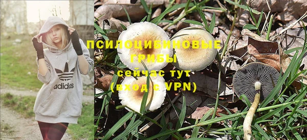 спиды Михайлов