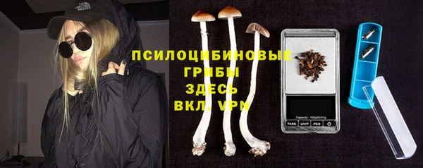 индика Наволоки